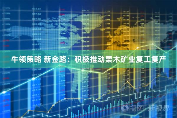 牛领策略 新金路：积极推动栗木矿业复工复产