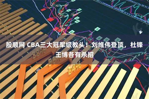股顺网 CBA三大冠军级教头！刘维伟登顶，杜锋王博各有杀招